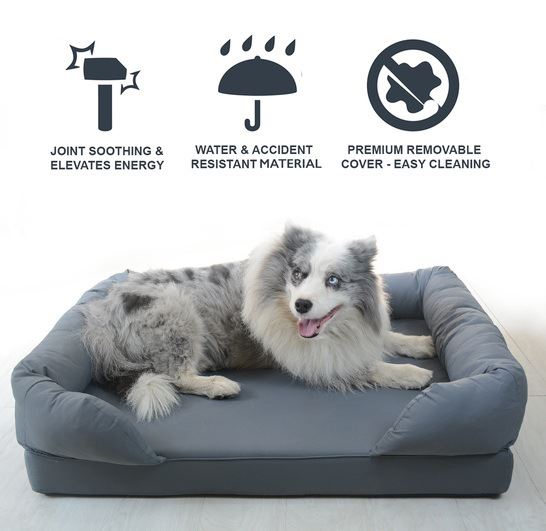 sofa cum dog bed (3)