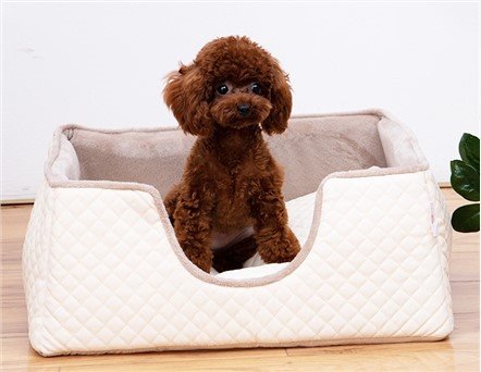 Luxury Elevated Dog Pet Bed